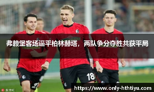 华体会体育公司